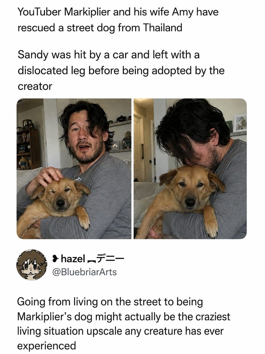 addisonmillero1's tweet photo. Sandy just got the ultimate home upgrade. Street dogs face serious welfare challenges in many countries, including Thailand. Injuries, infections, parasites and malnutrition are common, and recovery can take months. International adoption also https://t.co/YSy17lMrWn