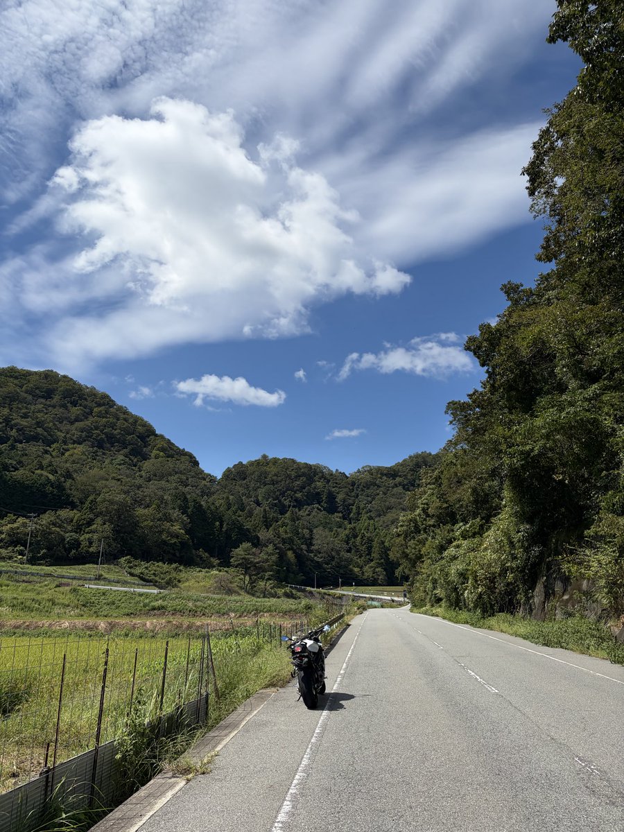 DAEG_sgs's tweet photo. 今月で閉店になる店に行く予定だったのだが有料道路が混み過ぎて時間がかかり過ぎるので断念😮‍💨

山道を走ったりしながら本来は大盛りカツカレーを食べる気がだったのでカレーの口になってたので濃厚カレー鶏そば🍜😋

#スクストラーメン部
#スクストバイク部 https://t.co/N6JYBi4oxY