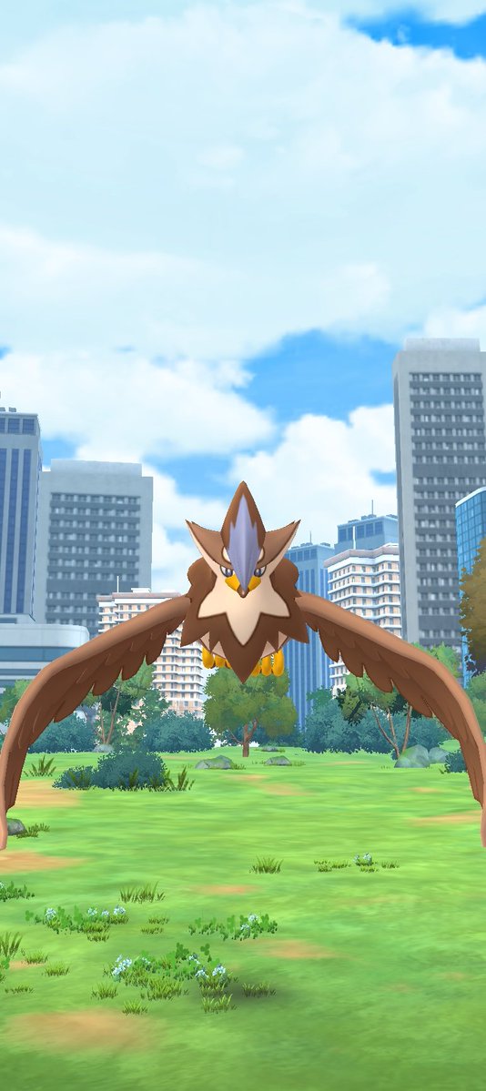 m_naosuke1987's tweet photo. ムクホーク色違い3戦目でゲット❗️
#ポケモンGO https://t.co/xqRMA2x9F6