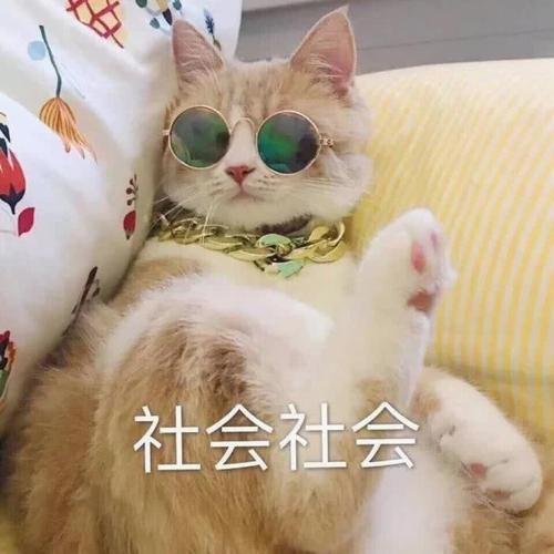 HeerAluwy's tweet photo. 🌻 🎉 🚩 🌈 That rush you get when you nail a presentation at work, walking out with your head high and a secret fist pump small victories taste the sweetest. https://t.co/l4mXHdQsaN
