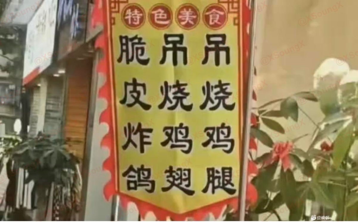 XSoungX's tweet photo. 我要来个脆皮炸鸽，老板说没有🥲🥲 https://t.co/7ybE0Lpl9G