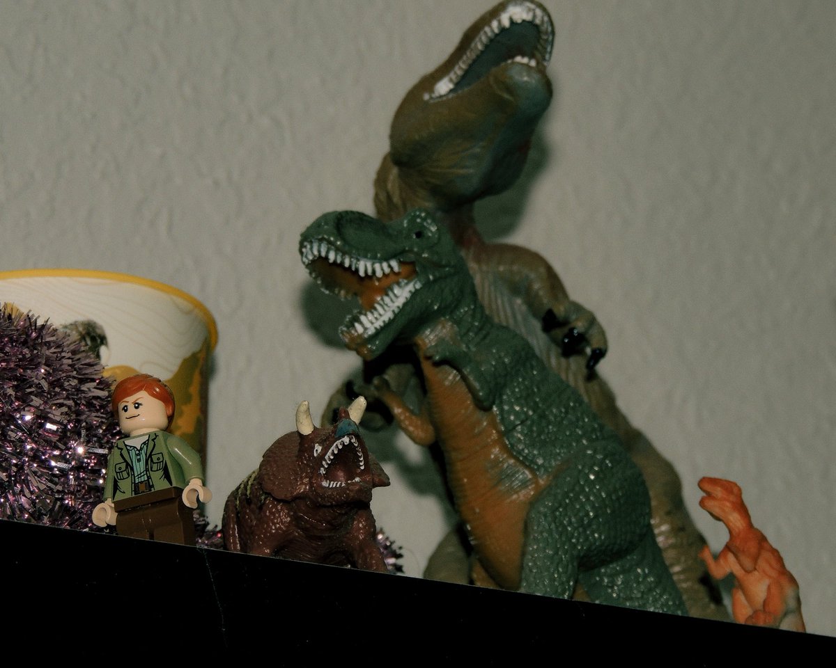 notroobe's tweet photo. my brother’s dinosaur collection!! https://t.co/Do9LloX7JZ