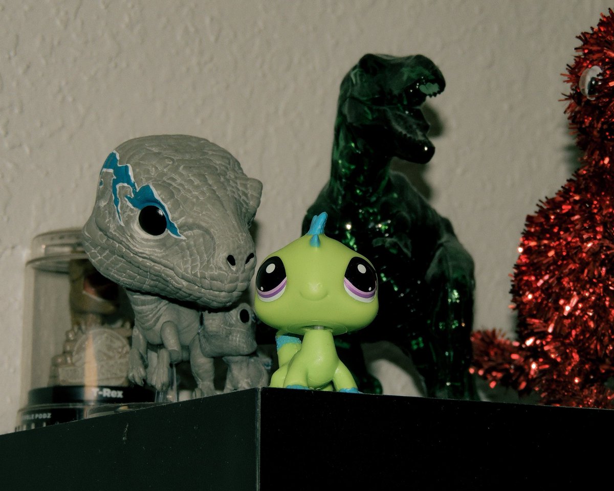 notroobe's tweet photo. my brother’s dinosaur collection!! https://t.co/Do9LloX7JZ