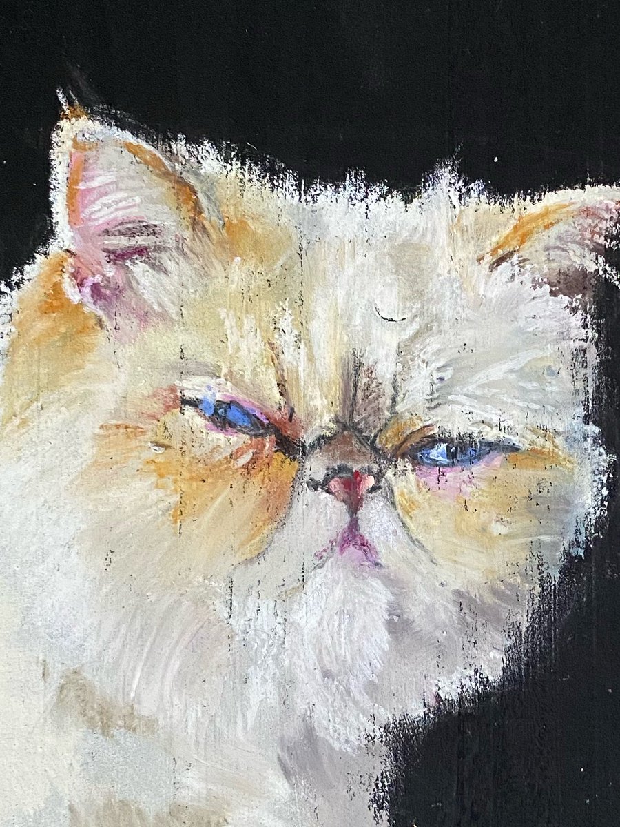 __Studio405's tweet photo. I like drawing imperfect cat faces. They're always so perfect. https://t.co/9m7aFXkgER