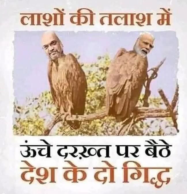 lodebhojam's tweet photo. @AnilYadavmedia1 Vishwa HIZDA # 2 https://t.co/Ke5WbkS4w4