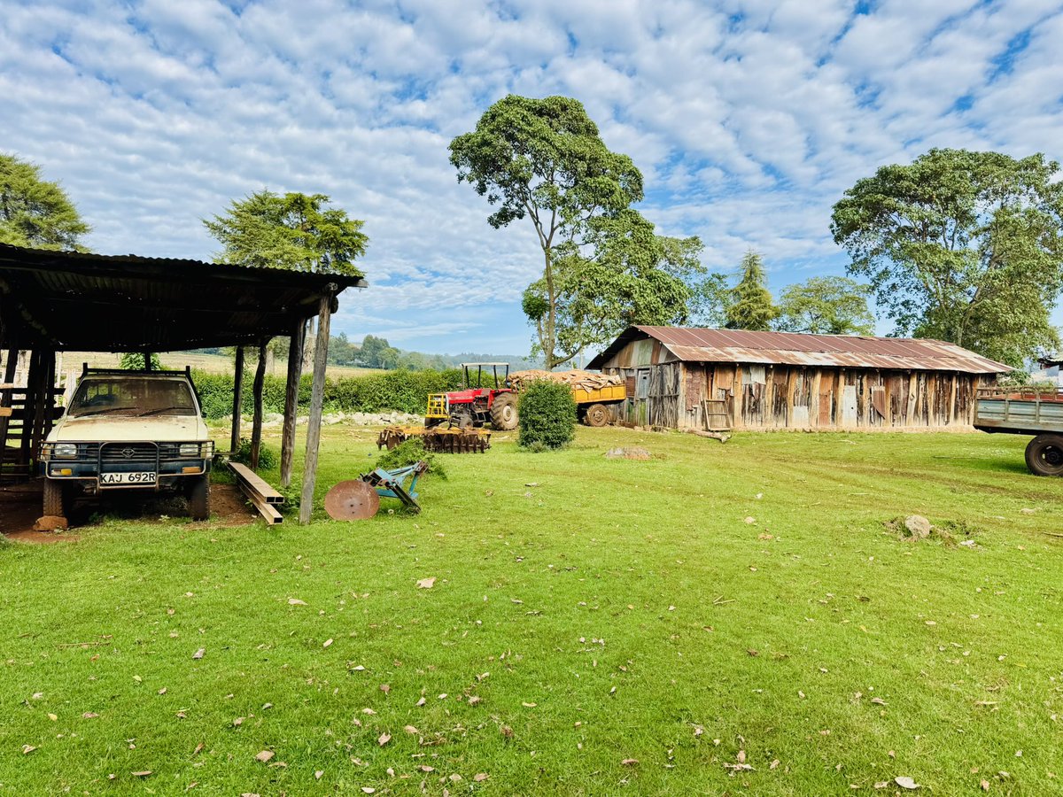 Perunomad's tweet photo. Good morning from the slopes of Mt. Elgon. 
📍 Chebosan. https://t.co/Xa9GhB4c3H