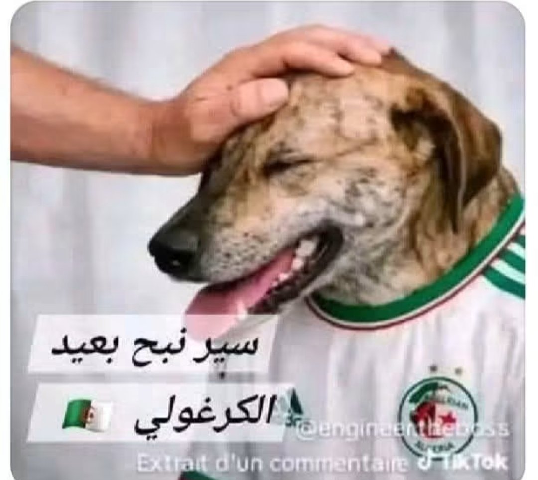 SofiaV95754's tweet photo. @MBouhedjeu60947 @2bvp0dhkku الكرغولي مسكين يعاني هههههههههههه هههههههههههه https://t.co/uysNgXImJ0
