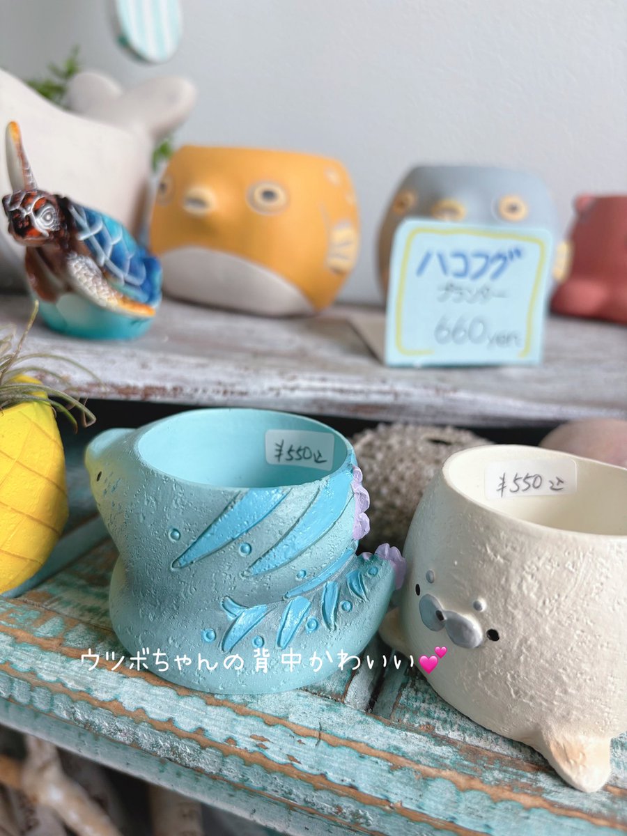 BAperitivo's tweet photo. プランターコーナーにかわいい仲間たちが💖
小さなポットは底穴が無いので、小物入れとしてもお使い頂けます。
左からパイナップル（お手々にパイナップルの輪切りをぶら下げています🍍）、ウツボ、アザラシの3種類。
かわいいですね〜😻 https://t.co/xd3MPkbbtQ