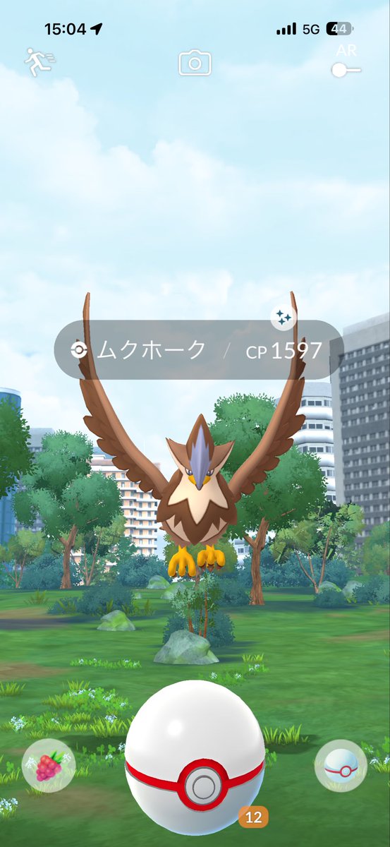 tnkhky's tweet photo. 一発ツモで終了。
#ポケモンGO
#色違い https://t.co/m1XsxYs8Qp