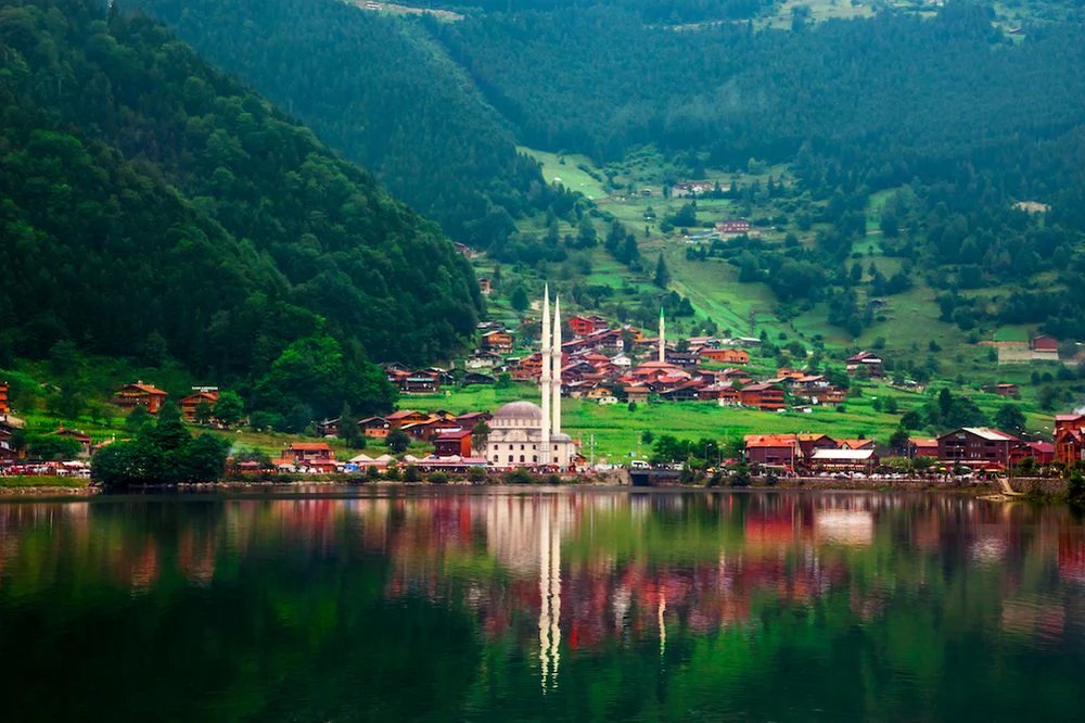 Giuditta1228's tweet photo. Read my Article โ๏ธ
UZUNGOL: THE TURKISH SWITZERLAND ๐ณ
https://t.co/X46KmoLJvDโฆ
#Uzungol #Trabzon #Tourism #Turkiye #Travel #viral #blog #KSA #blogging #blogger #history #places #travelling #Switzerland #UAE #middleeast #Asia #beauty #world https://t.co/Ny3dogHP7e