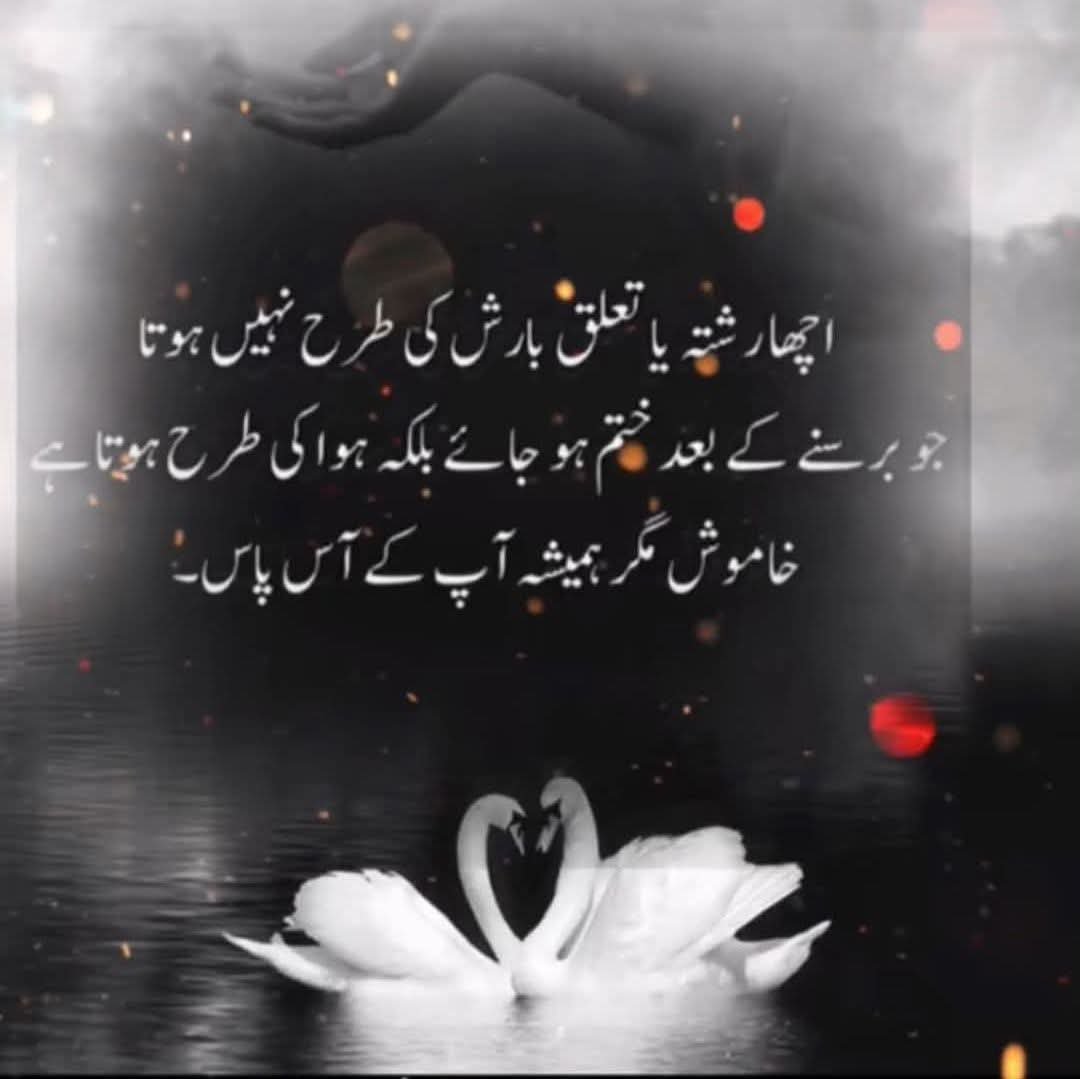 Mir_jan_baloch's tweet photo. راست ❤️ https://t.co/QG7sJPcPIn