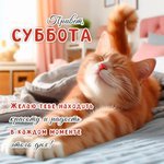 Photo by Андрей из Тучи (@Andrycha100)