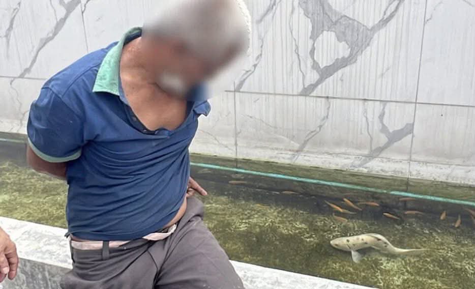 sosmedkeras's tweet photo. Nyangka gak pemiliknya komplain ikan koi pada mati dlm keadaan badan bengkok, ternyata pas dicari tau gara2 dilecehin sama beruk satu ini 😭🤌🏻￼ https://t.co/Ccd3uTy2hk