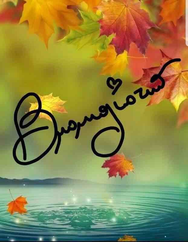 RossiMassil's tweet photo. @Paola__Breda Buongiorno Paola. 🐞🐞 https://t.co/FMLJBkn9At