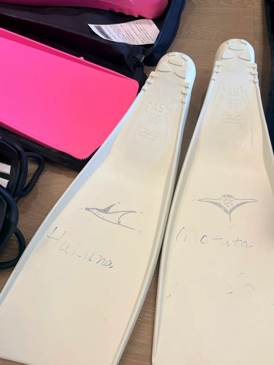 gracini19's tweet photo. ダイビングの器材を紹介するね😊 https://t.co/EJ48iXxZgE