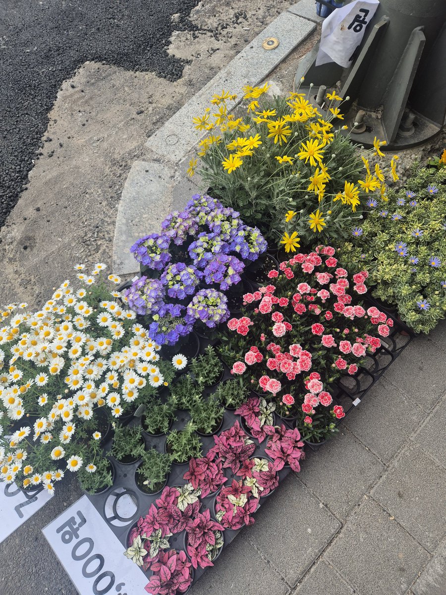 haveagood___'s tweet photo. 여 유 롭 다 https://t.co/luxmlndjhd