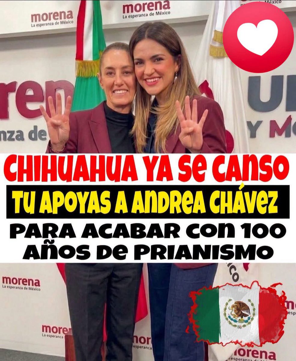SoyChiara24's tweet photo. NO 👎🏻 
SI 👍🏼 https://t.co/czH95AsIJD