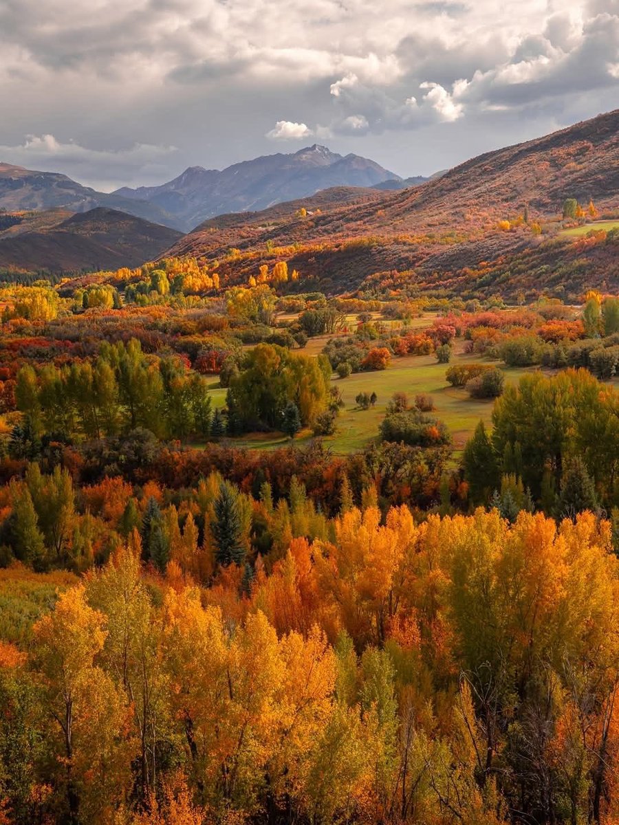 greenvibe's tweet photo. nature's color palette 🍂🍁 https://t.co/VTKHBpNrlK