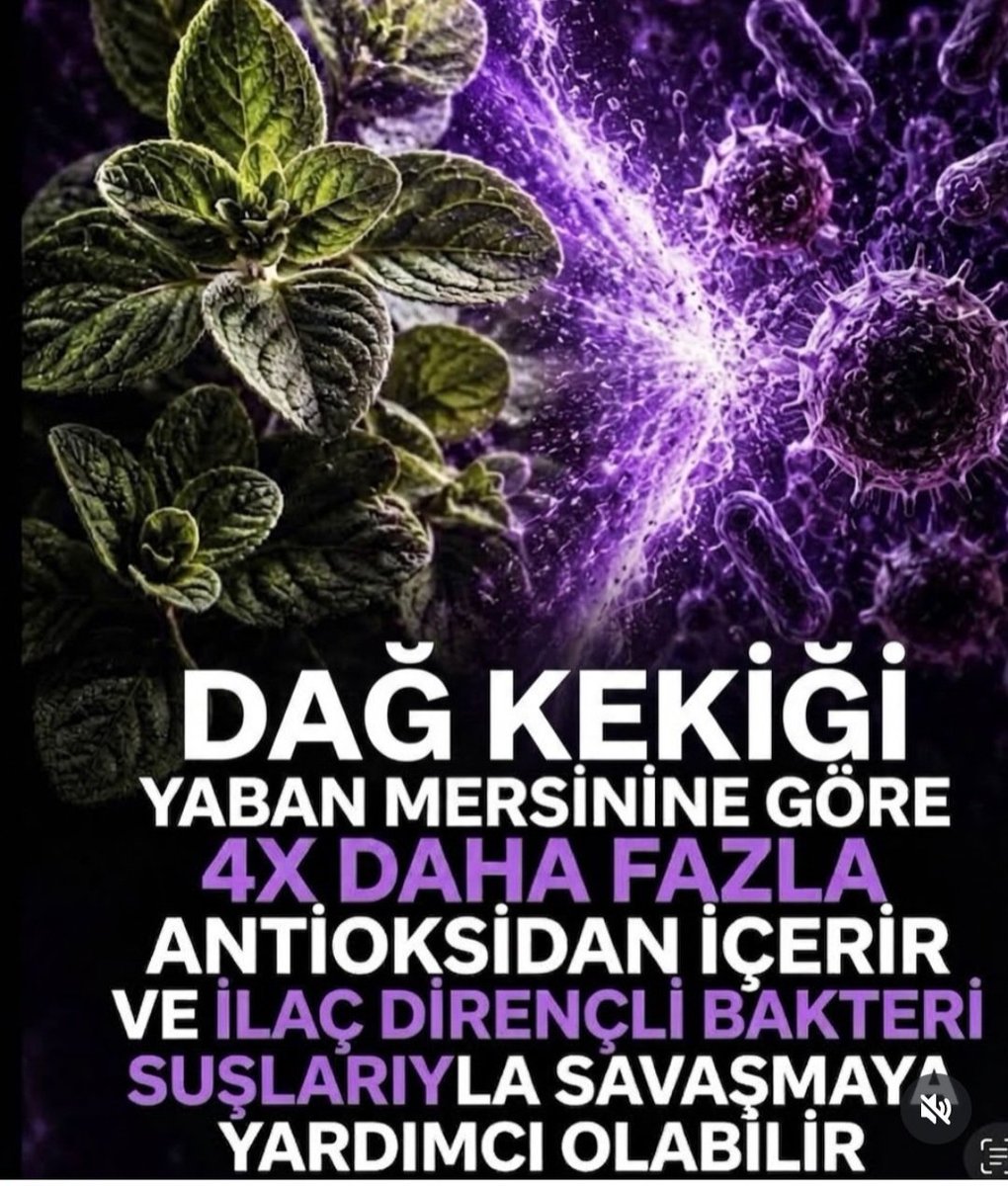 SerkanK16508934's tweet photo. ❗Dağ kekiği
❗ Dağ kekiği 
❗Dağ kekiği 
❗Dağ kekiği 
Eskiden hayvanlar doğal otlak alanlarda yayılırdı kekik vb yerdi onların yedikleri et ve süt e geçerdi et ve süt yiyenler asla kanser hasta olmazdı. Şimdi hayvalara hazır yem veriliyor. Fayda sıfır ... https://t.co/Jx5FjKg5Yx
