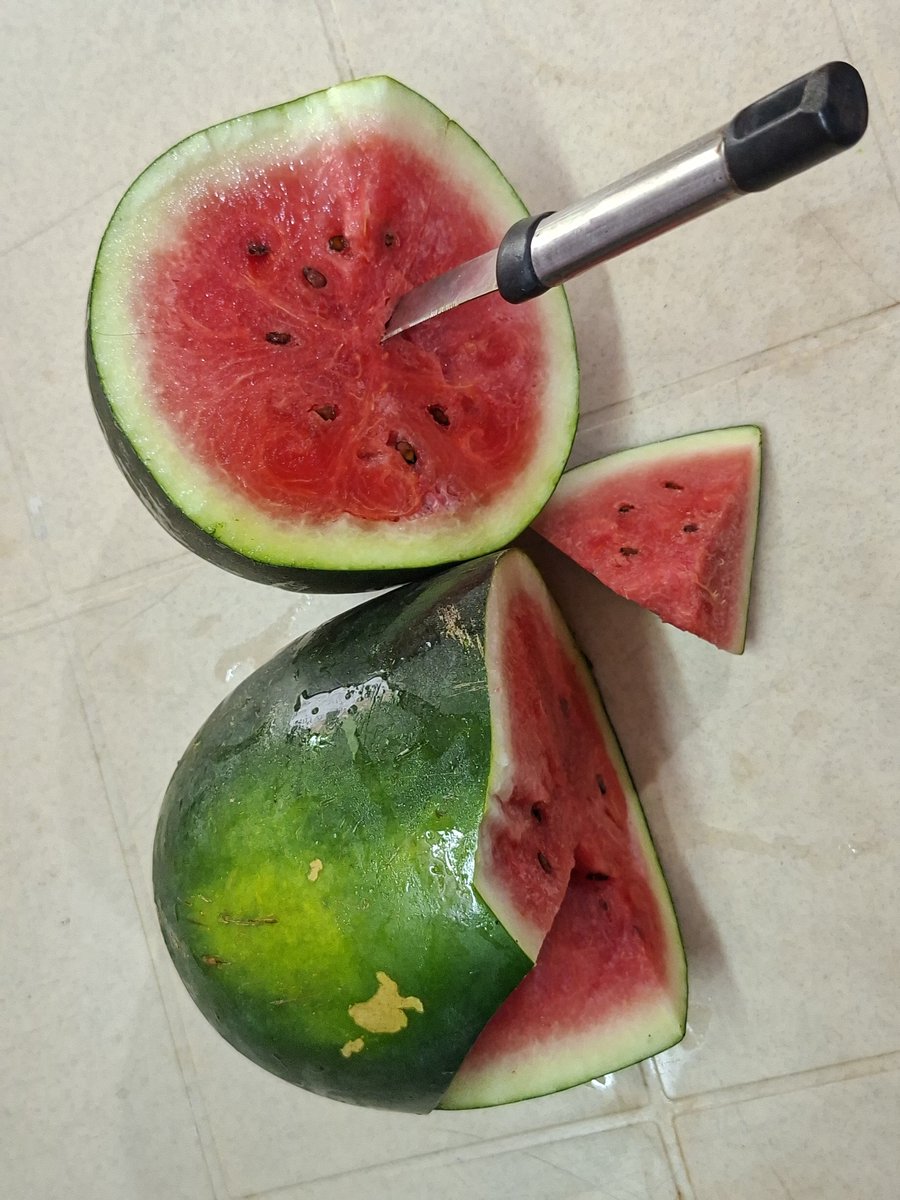 bhramar_ray's tweet photo. I don't know whether Giorgia Meloni likes watermelon but I do . 🤭
But I don't have the #knowhow of how to cut a watermelon with a #knife .
#AlphabetChallenge
#WeekKforKn...
#FruitsOnX
#Watermelon https://t.co/ilEriOQZtX