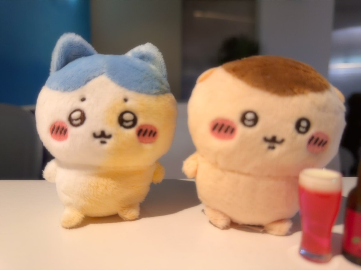 satapanbeen__'s tweet photo. 마라탕에 빠진 하치와 사진 여러 컷 찍고 다녓습니다🐱🐱 https://t.co/mepbO8Gjqr