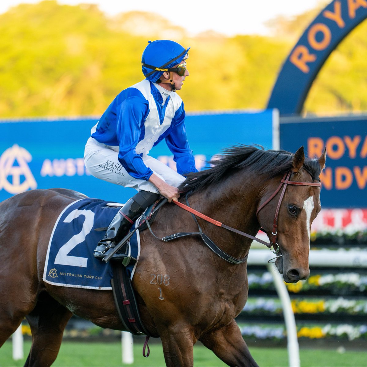 mcsmithracing's tweet photo. Golden Straand kicked his campaign off in style getting home in the last today at Randwick with Nash Rawiller on board.

The talented son of Snitzel is building an impressive record and it looks like he’s in for an exciting Spring.

Congratulations to Gerry Harvey and connections.