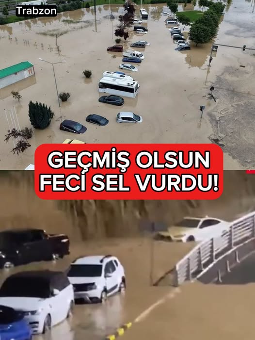 trbioscom's tweet photo. Trabzon ve Rize, doğa ana size daha neyi, nasıl göstersin? Gerçekler gözünüzün önünde. Araplaşarak vardığınız yer işte bu: akıldan ve bilimden uzaklaşıp çöpün, çamurun, pisliğin içinde kaldınız; uyanmamak için direniyorsunuz. https://t.co/hEbRwIYomt
