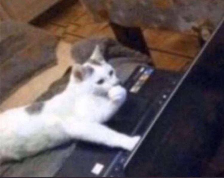 tuvzv's tweet photo. دكتورتي تبي تنكب الشركات على حسنا
تقوّل اكتبوا تحقيق صحفي عنهم 
وين اجيب لك شركه فيها فساد يالغاليه https://t.co/DhLaI0Dtny