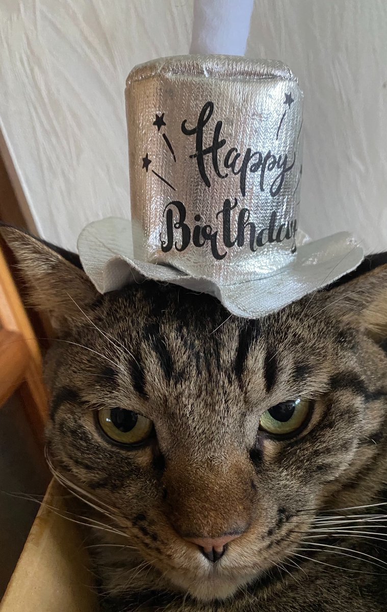 tis_11's tweet photo. @Nikogel360 🎉ハピバ🎉 https://t.co/D3zslA01RD