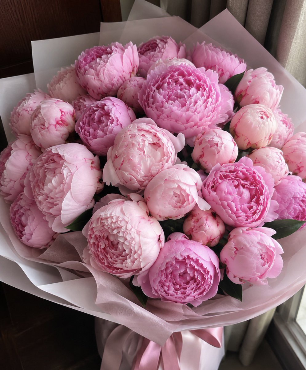 omprngg's tweet photo. lost in a world of rosy petals, where every little bloom feels like a love letter from spring. https://t.co/LEoQQ6pdAp