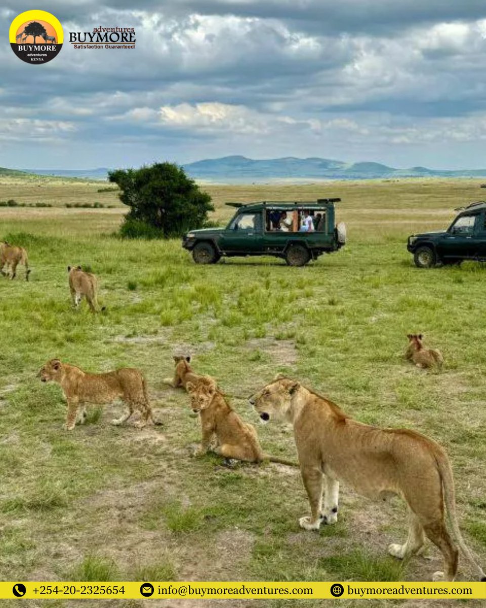 Buymoadventures tweet picture
