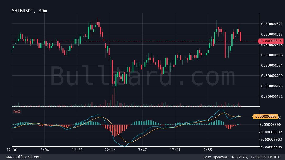 Play_Jim's tweet photo. $BCH/USDT (30m) MACD Super bearish crossover 💀
Last price: 247.4 | [Binance | TV]

Free Signals https://t.co/qxV4DiVOnw

#Gümüş #Platin #Nasdaq #Petrol #Dxy #Dax #Silver #altin #ons #bist100 #cment #xauusd #altın #gramaltın #btc #btcusdt https://t.co/uaw1CHg2bG