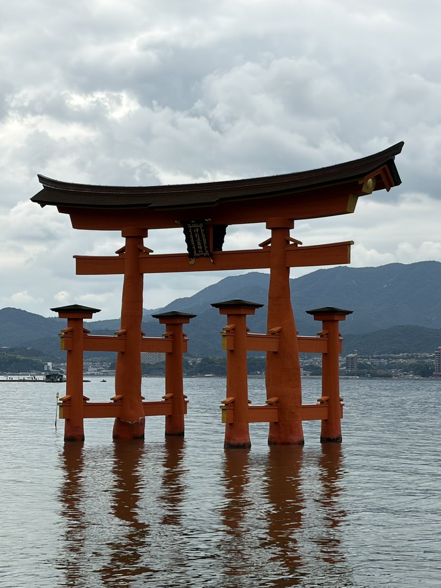 gon_25252's tweet photo. 良きかな⛩ https://t.co/31t0XN3rBl