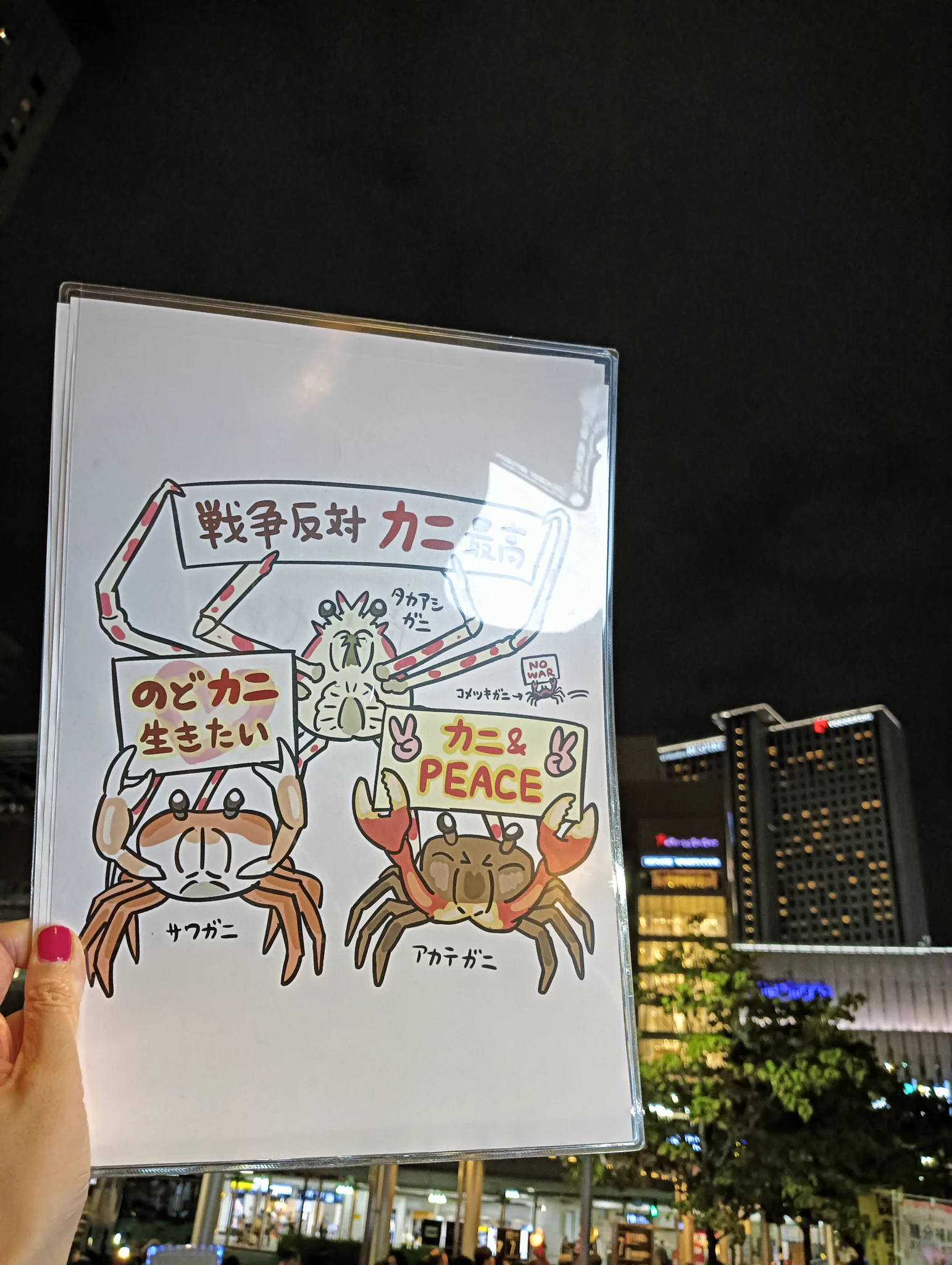 まりも🌏️9/13東京チ18b (@miramarimo_chi) / X