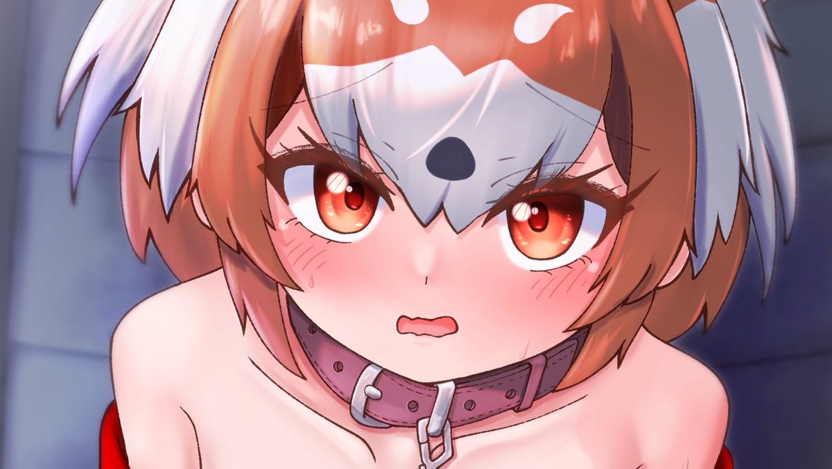 piki_kemo's tweet photo. フレチ47にてお隣F-14にて頒布されるﾚｯﾁ本に1枚イラスト寄稿させていただきました！
お散歩レッパンちゃん🌙

レッパンちゃん尽くしの机でお待ちしております✨ https://t.co/We3Yv8UOTC