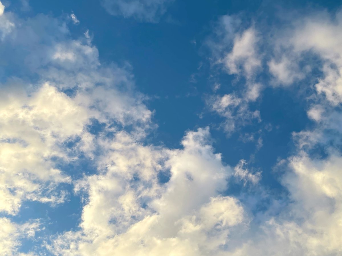 tamon_huiyong's tweet photo. ฟ้าหลังฝนงดงามเสมอ

⋆｡ﾟ☁︎｡⋆𓂃 ོ☼𓂃⋆｡ﾟ☁︎｡⋆𓂃

The sky is always brighter after the rain. https://t.co/KYd8Z4SRPu