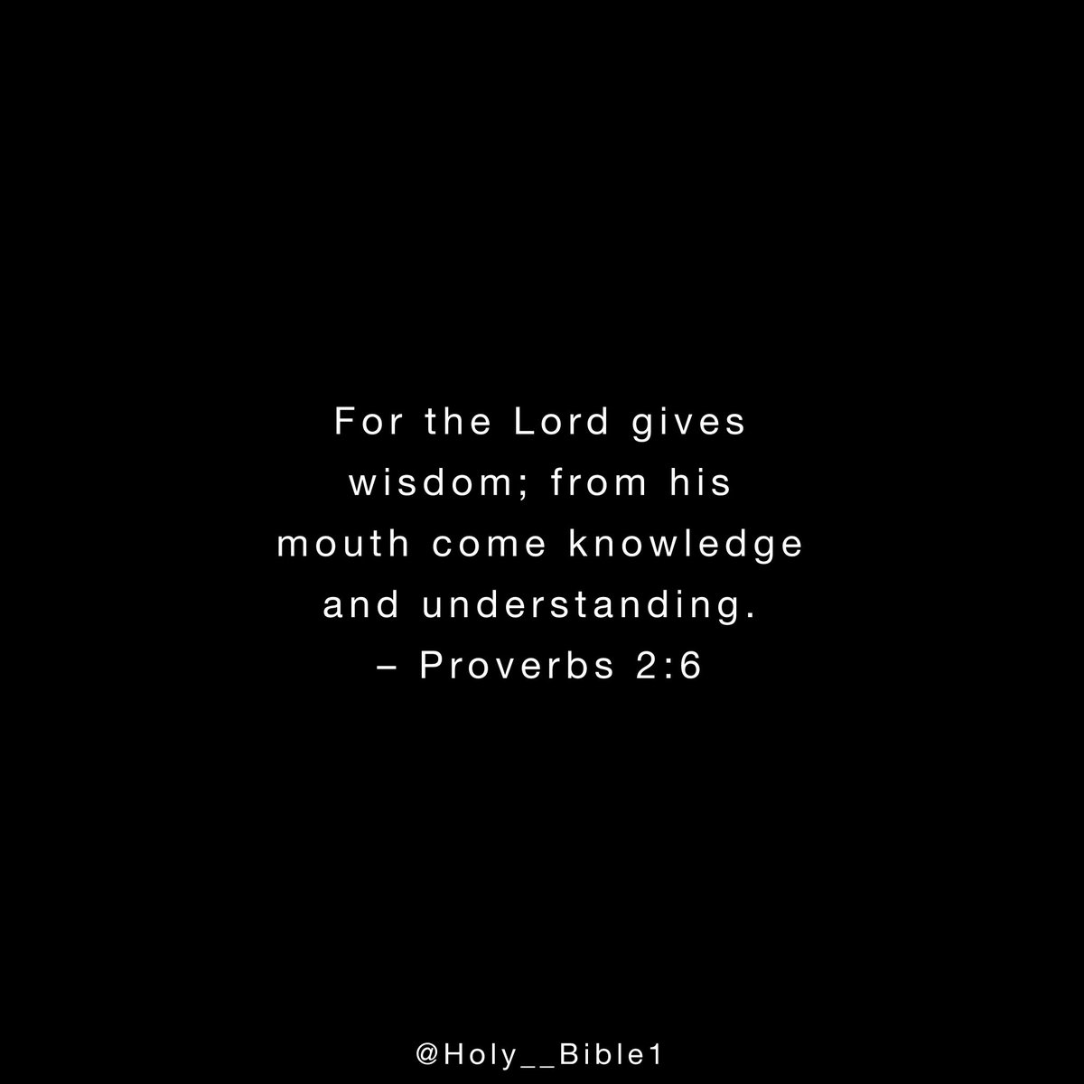 Holy__Bible1's tweet photo. Proverbs 2:6 https://t.co/K6nDkWpyC0