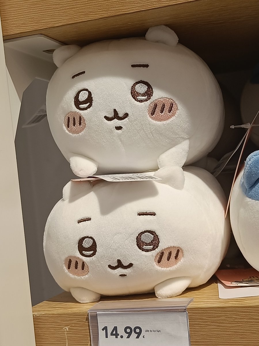 munchiloid's tweet photo. cada vez q entro al miniso tengo q hacer esfuerzos para no llevarme a uno de estos dos gilipollas https://t.co/KlccuXtU7X