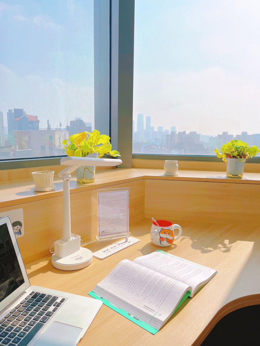 je1nni7ferryan's tweet photo. Found a cozy corner by the window, 5 mins of "office mini-vacation" before the next deadline—productivity hacks hit different! https://t.co/cMSum2aOuk