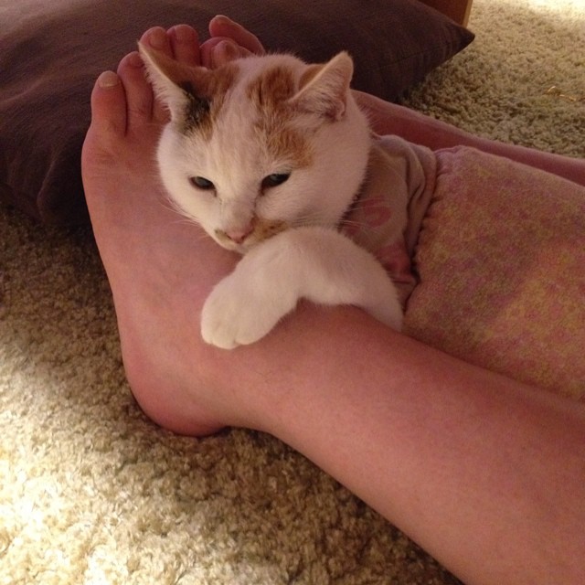 FredericBuvl's tweet photo. 重なり合う温度を信じているわけではないけれど、ただそこにある不器用なほどの安心感に身を委ねていたい日もある https://t.co/A43Q9ptd3k