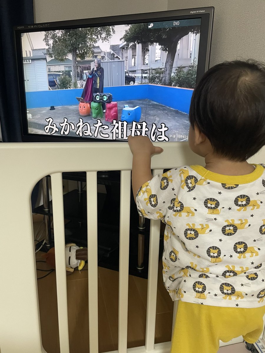 akashingou0330's tweet photo. すごい夢中。
将来が心配。 https://t.co/o8g5SGAkji