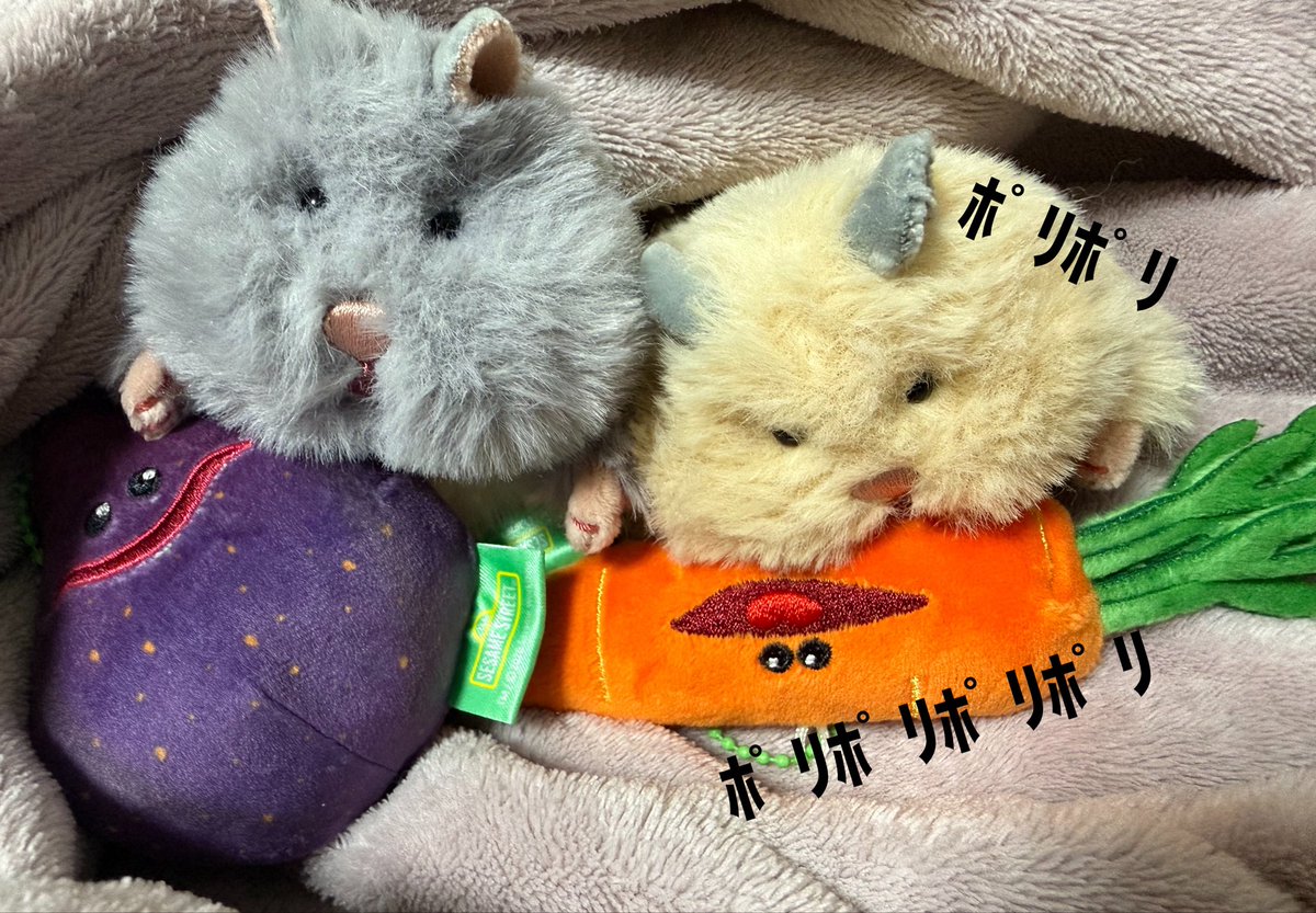 runtaman2's tweet photo. かわいいだねぇ https://t.co/Gls7q6T46a