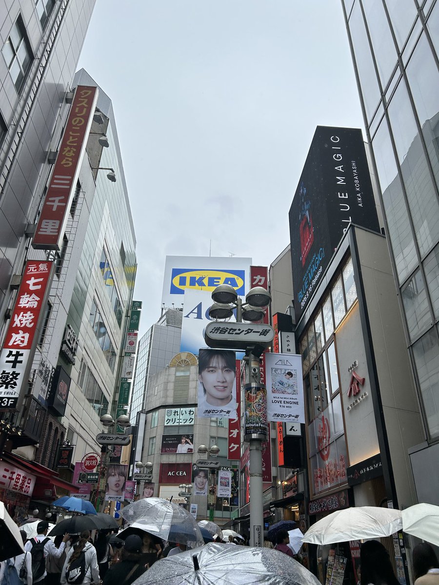 penguin_mk80's tweet photo. 東京は色んなとこにM!LKいて幸せだった🐮
渋谷のセンター街も上向いて歩いちゃうくらい楽しかった🥰❤️
 #MILK https://t.co/gmBt9JvypP
