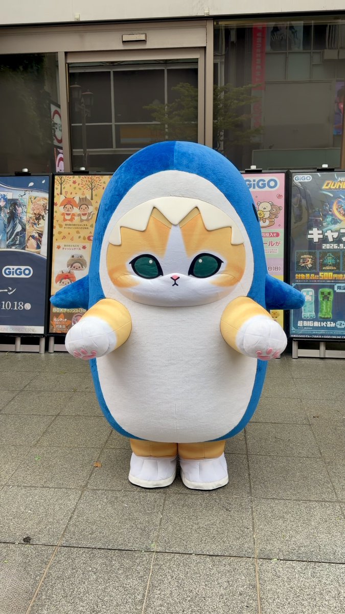 mfsnd_lv's tweet photo. 行ってきました！
サメにゃんグリーティング😺
九州初🎉
来てくれてありがとう😭
#mofusand
#モフサンド
#サメにゃん
#グリーティング
#GIGO https://t.co/bnb6zsSV6X