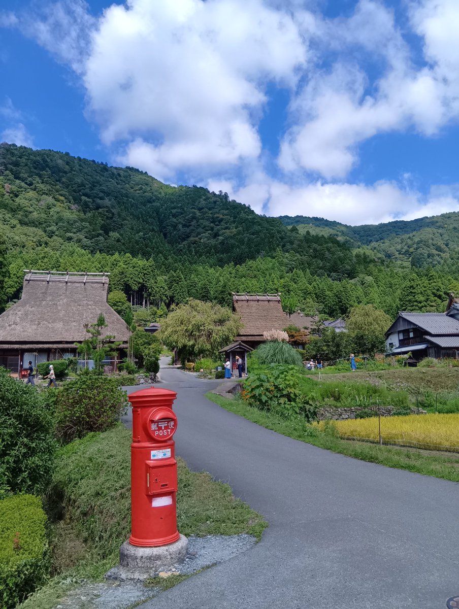 ganmatsu1's tweet photo. 京都から周山街道を北上して美山町🚴
茅葺きの里の蕎麦の花が満開で美しい。ここは何度か来た事があるが、手前が蕎麦畑とは知らなんだ。絶好のタイミングで来れてラッキー！☺️ https://t.co/bxVh9rS7Fx