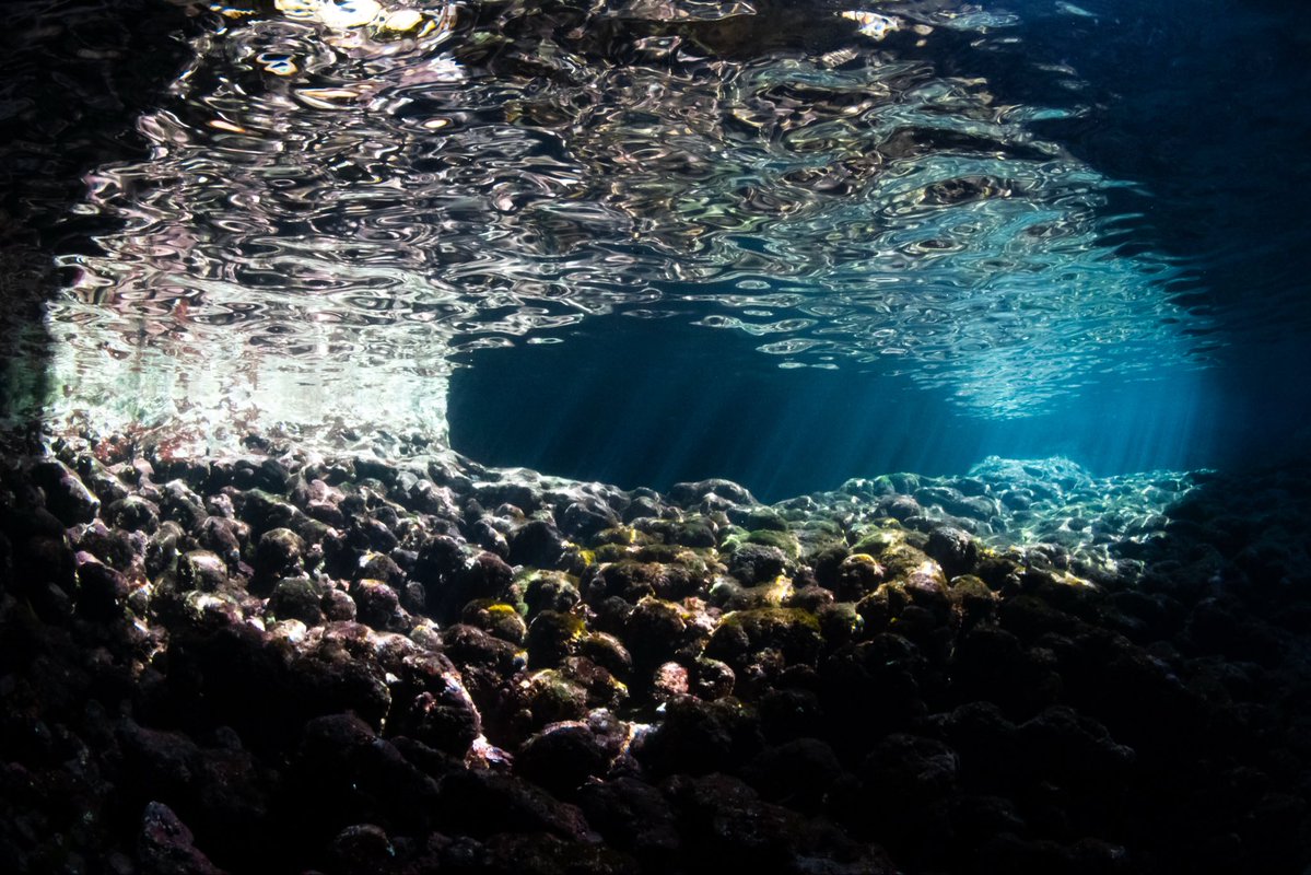 EARTH_LENS_385's tweet photo. ダイビングポイント名
【ミニ通り池（ミニグロット）】
地上での呼び名は【鍋底（なべそこ）】
「通り池」のすぐ奥にある、外海とつながった神秘的な陥没ドリーネ（穴）および小さな池のことみたいです！
古くから胎内回帰や輪廻転生の場所として知られる、島の神聖な秘所みたいですよ！ https://t.co/7M9qaGbTIc