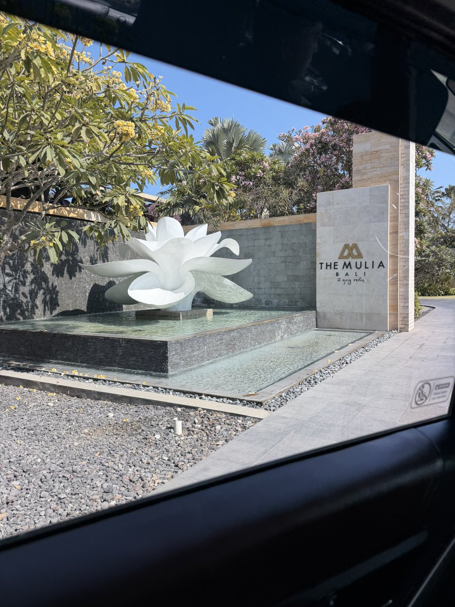 机灵的杰尼君🔶BNB 的图片 2