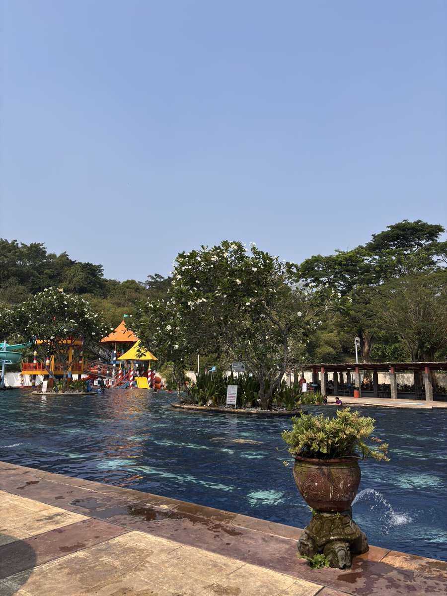 vemndetta's tweet photo. went out for a swim on this sunny weekend https://t.co/vohw5ITuiU