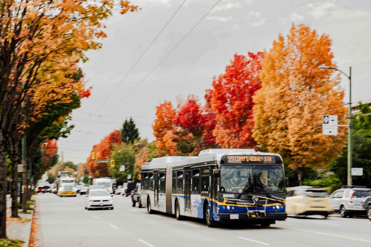 Graphic depicts TransLink bus driving down a street lined with vibrant autumn trees displaying red and orange leaves. Other vehicles are shown sharing the road.