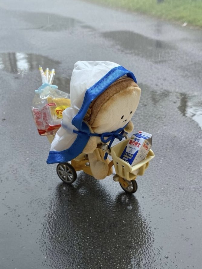 yuiyui_susi's tweet photo. 台風がくる前に
急いで買い出しにいく
食パンさん🍞🚲💨 https://t.co/UQMiBoGYSY